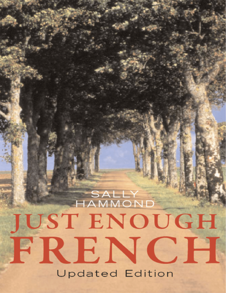 Rich Results on Google's SERP when searching for 'Just Enough French Update Edition Book'