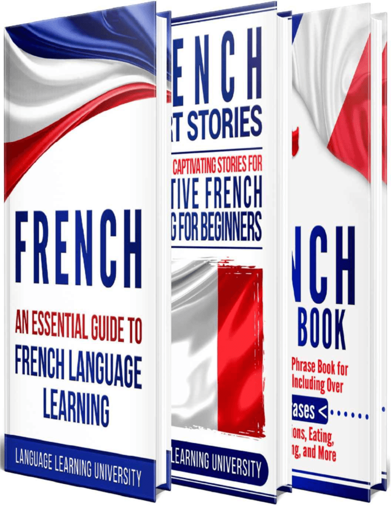 Rich Results on Google's SERP when searching for 'Learn French For Beginners Including French Grammar Book'