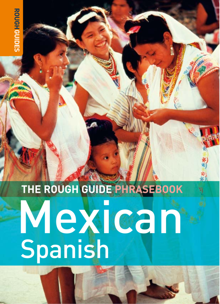 Rich Results on Google's SERP when searching for 'The Rough Guide to Mexican Spanish Dictionary Phrasebook'